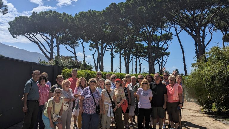 A group under the pines