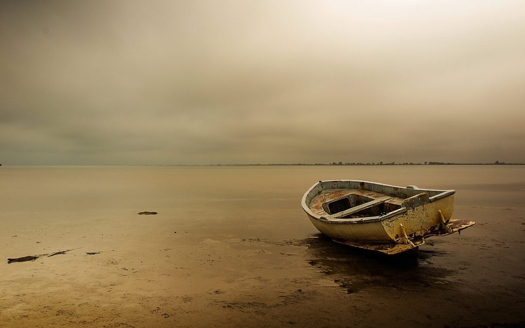 One Second After Death: What Will You See?